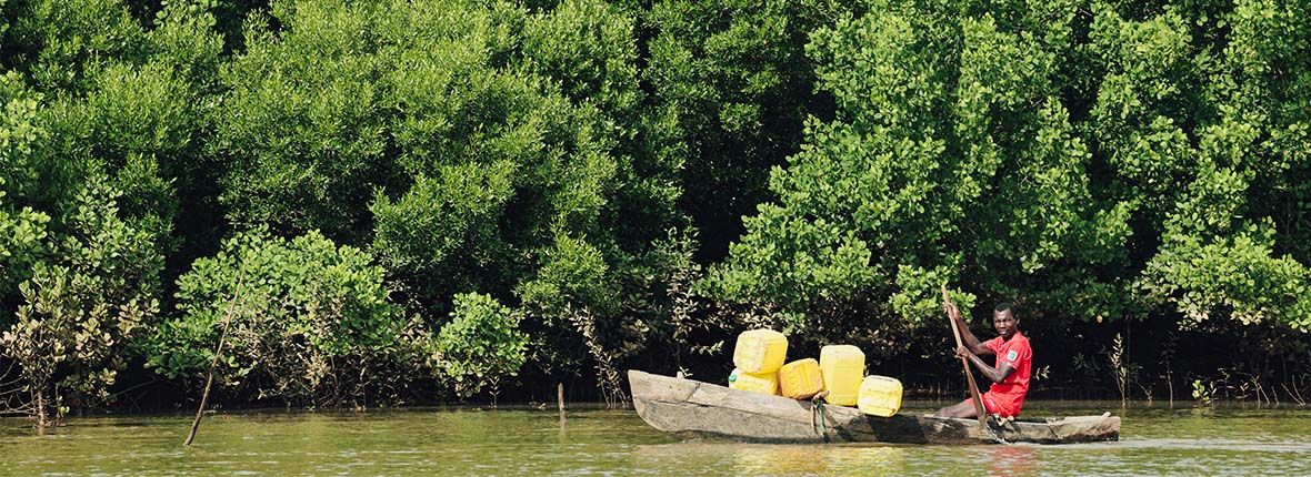 Sunbrella zet zich in voor het herstel van mangroven met Planète Urgence